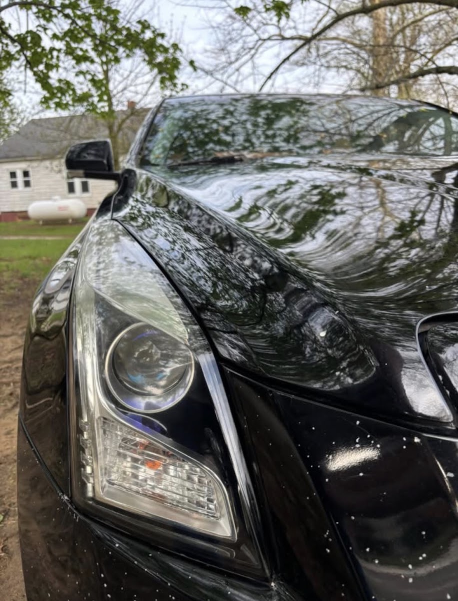 The front fender and headlight of a black Cadillac detailed to a mirror finish, with trees reflected in the paintwork